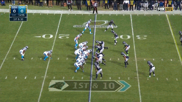 Panthers-Run-1.gif