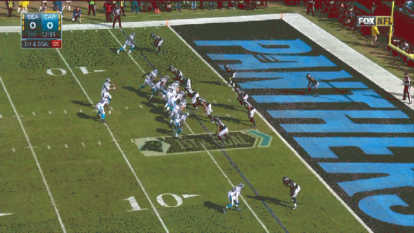 Panthers-Run-2.gif