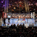 Which combat sport is more engaging, Boxing or MMA?